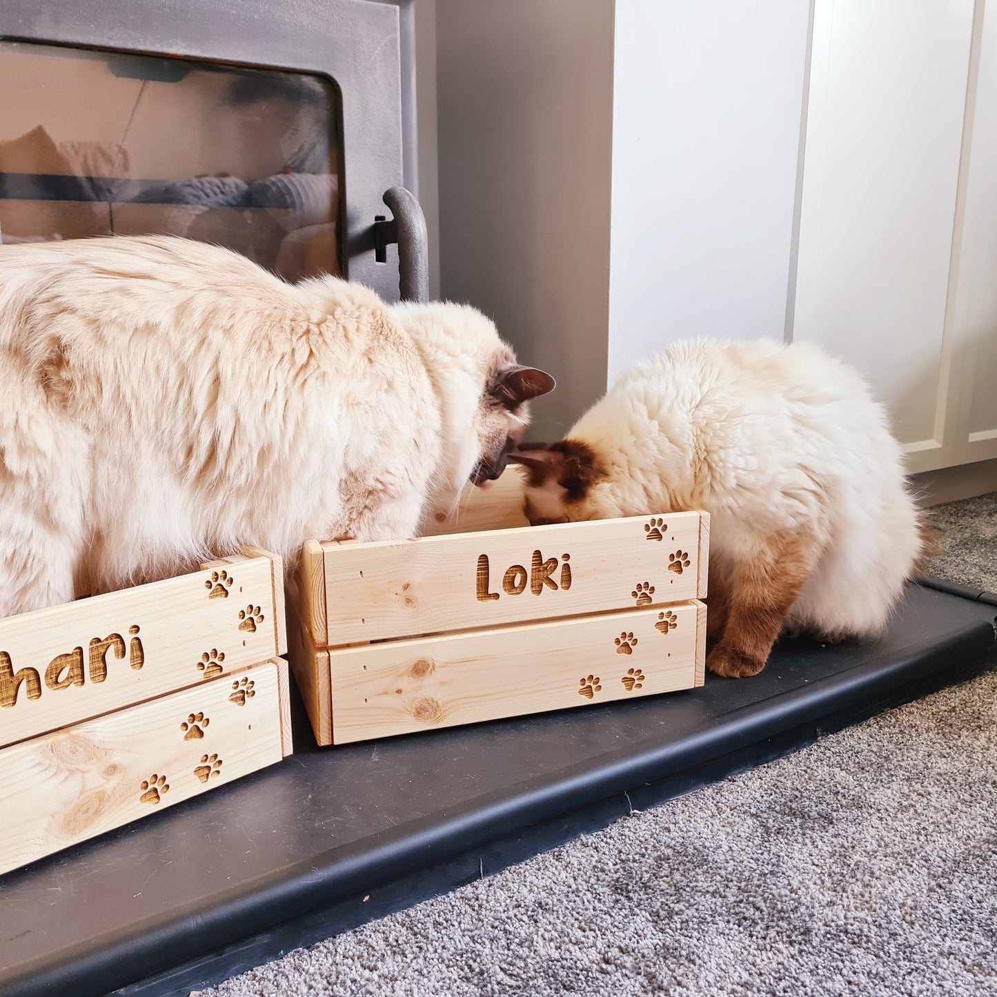 Personalised Pet Crate - Made For You Gifts
