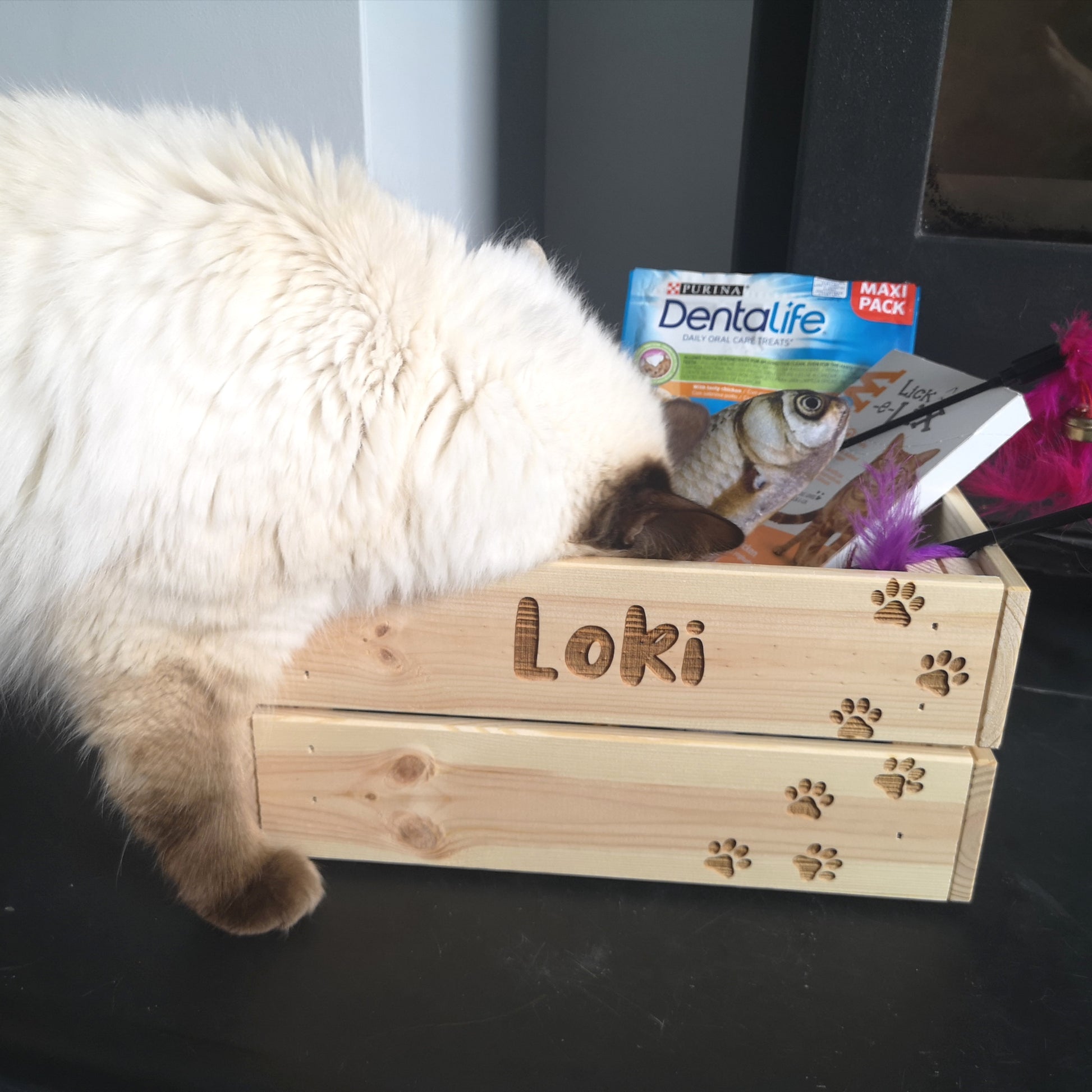 Personalised Pet Crate - Made For You Gifts
