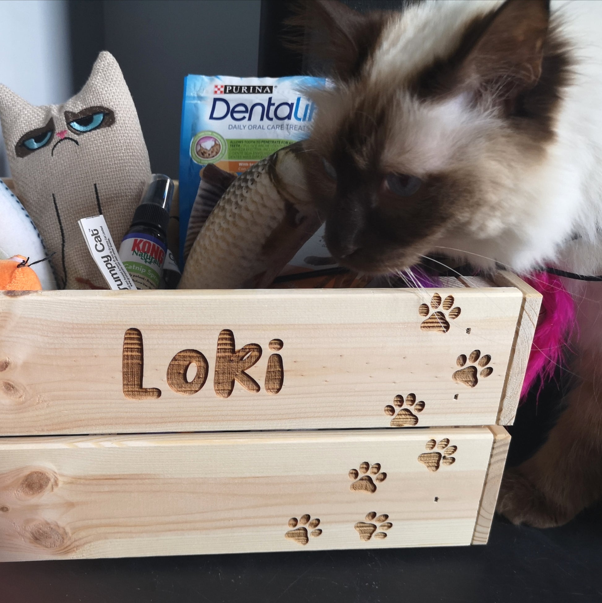 Personalised Pet Crate - Made For You Gifts